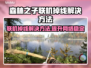 《森林之子》联机掉线？加速器✨解决秘籍来了！