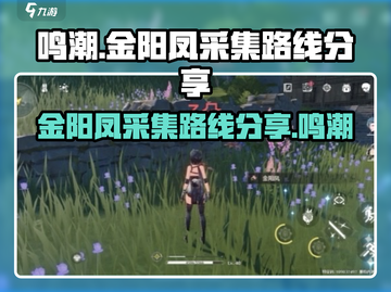 鸣潮⚡金阳凤采集路线大曝光！🔥快收藏截图1