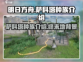明日方舟：揭秘终末地萨科塔种族！😱