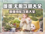 无限暖暖🔥超全攻略来袭，玩家必看！