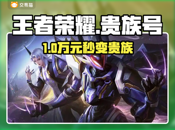 王者荣耀贵族10仅需XXX元！💥截图1