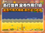 苏打世界金币大揭秘🔥超多作用等你来发现！