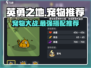 英勇之地🔥必爆优质宠物推荐！玩家都在抢✨