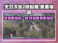 无双大蛇2终极版🔥全贵重物品一览💎