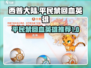 西普大陆手游🔥平民禁回血英雄推荐🎉