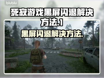 死寂游戏黑屏闪退？❌快来get解决方法！🎮截图1