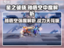⭐【星之破晓】孙悟空强度逆天！🔥猴子玩家必看✨
