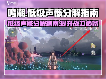 鸣潮🔥低级声骸分解全流程揭秘！⚡游戏玩家必看截图1