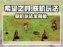 希望之村联机玩法💡超全攻略带你飞！🎮