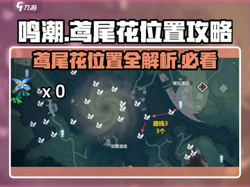 鸣潮⚡鸢尾花位置大曝光！玩家必看🔥截图1