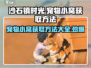 沙石镇时光💥宠物小窝获取方法宠物爱好者必看！🏠🐾