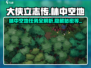 大侠立志传🔥林中空地任务攻略全流程解析！💡
