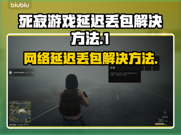 死寂游戏延迟丢包？❌教你轻松解决⚡截图1