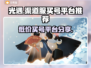 光遇渠道服买号平台推荐，稳上车⚡