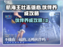 航海王壮志雄心🔥伙伴养成秘籍💥