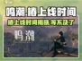 鸣潮🔥椿上线时间大曝光！游戏重磅更新⚡