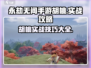 永劫无间手游🔥胡桃实战对战攻略大全！