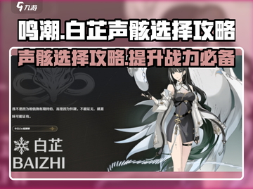 鸣潮⚡白芷声骸最佳选择攻略来啦！截图1