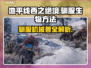地平线西之绝境🔥驯服生物全攻略🎮