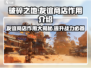 破碎之地🔥友谊商店作用大揭秘！🎮