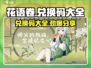 花语卷兑换码大全✨《游戏名》玩家必看❗