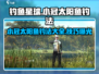 钓鱼星球🌟小冠太阳鱼钓法大公开！新手必看🔥