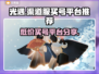 光遇渠道服买号交易平台大起底！🔥安全靠谱才重要✨
