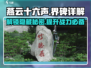 燕云十六声🔥界碑作用全解析，必看攻略！