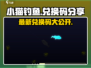 小猫钓鱼🎉最新兑换码大公开，快来领取你的奖励！
