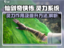 仙剑世界🔥灵力提升秘籍，快速变强必备！