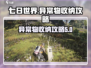 七日世界🎉异常物满了？这样收纳超简单！