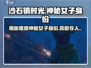 《沙石镇时光》：神秘女子竟是失落文明的守护者！🔥