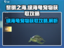 黎明之海🔥绿海龟宠物获取攻略来啦！快人一步拥有它✨