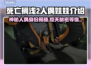 死亡搁浅2人偶娃娃竟是她！游戏隐藏彩蛋大起底😱🎮