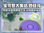 宝可梦大集结：妙蛙花发育思路🔥超详细玩法介绍！