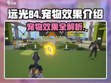 远光84宠物大揭秘💥游戏党必看！✨截图1