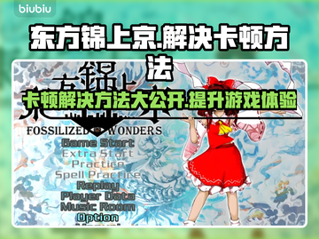 东方锦上京卡顿？这个方法立马解决！🔥🎮截图1