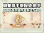 🔥驯龙高手旅程：最强治愈手推荐dragon Riders⚡