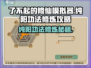 了不起的修仙模拟器🔥纯阳功法修炼攻略来啦！
