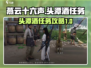 燕云十六声🔥头潭酒任务超简单攻略来啦！