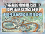 了不起的修仙模拟器✨千棱神玉获取地点大揭秘！