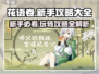 花语卷🔥新手必看！快速上手攻略大全💡