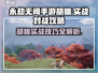 永劫无间手游🔥胡桃实战对战攻略大全！⚡