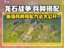 龙石战争🔥最强兵种搭配秘籍💥