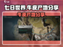 七日世界🔥牛皮产地大起底！玩家必看👍
