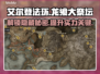 艾尔登法环🔥龙飨大祭坛隐藏秘密全揭秘！