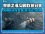 黎明之海📖见闻玩法超全攻略分享！🔥