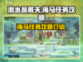 潜水员戴夫海马任务🔥超全攻略来啦！🎮