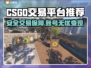 🔥CSGO账号交易防骗指南！安全平台大公开💥