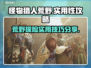 怪物猎人荒野🔥必看！实用性攻略大公开！